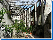 Lemon trees in Limone